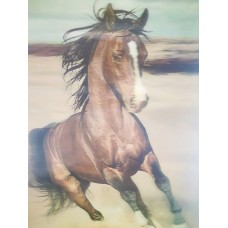 3D Lenticular lens picture "Horse' without frame-58x38 CM (Code:LEN0008) 3D Lenticular lens picture "Horse' without frame-58x38 CM (Code:LEN0008)